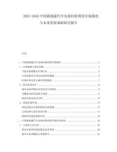 2025-2030中國新能源汽車電池回收利用市場現狀與未來發展策略研究報告