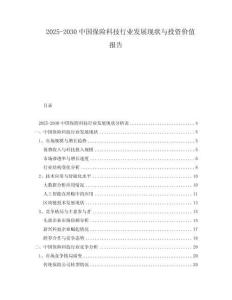 2025-2030中國保險科技行業發展現狀與投資價值報告