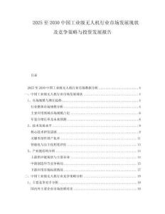 2025至2030中國工業級無人機行業市場發展現狀及競爭策略與投資發展報告