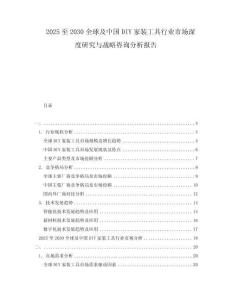 2025至2030全球及中國DIY家裝工具行業市場深度研究與戰略咨詢分析報告