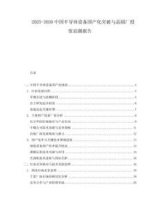 2025-2030中國半導體設備國產化突破與晶圓廠投資浪潮報告