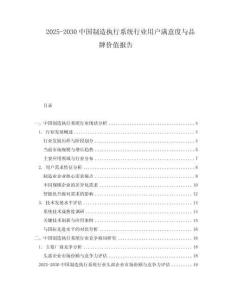 2025-2030中國制造執行系統行業用戶滿意度與品牌價值報告