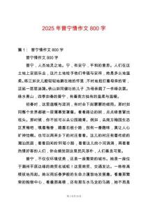 2025年普寧情作文800字