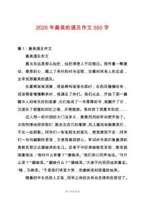 2025年最美的遇見作文550字