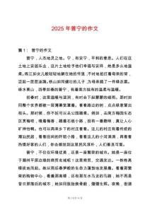 2025年普寧的作文
