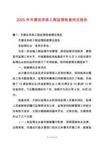 2025年市建設系統工程監理檢查狀況報告