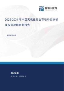 2025-2031年中國無機鹽行業市場動態分析及投資戰略研判報告