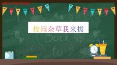校園雜草我們拔（課件）-人民版勞動二年級下冊