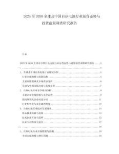2025至2030全球及中國自熱電池行業(yè)運營態(tài)勢與投資前景調(diào)查研究報告