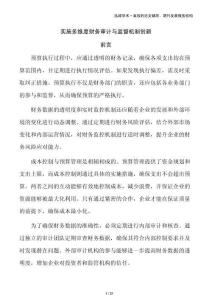 實施多維度財務審計與監督機制創新