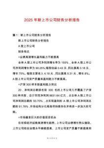 2025年新上市公司財務分析報告