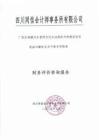 8.廣安區城鎮污水管網及污水站提標升級建設項目 財務咨詢報告