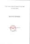 廣安市廣安區公共服務信息化賦能項目-2.財務評估報告1