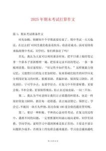 2025年期末考試打算作文