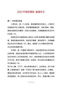 2025年我的福娃―晶晶作文