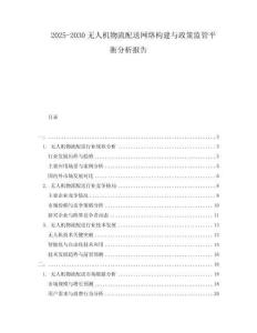 2025-2030無人機物流配送網絡構建與政策監管平衡分析報告