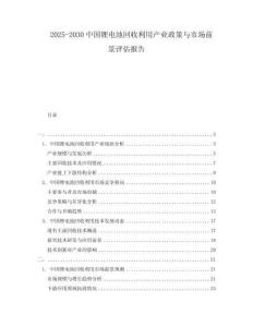 2025-2030中國鋰電池回收利用產業政策與市場前景評估報告