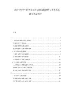 2025-2030中國智慧城市建設現狀評估與未來發展路徑規劃報告