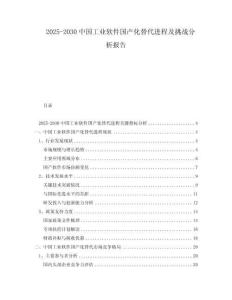 2025-2030中國工業(yè)軟件國產(chǎn)化替代進程及挑戰(zhàn)分析報告
