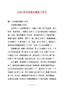 2025年時間都去哪里了作文