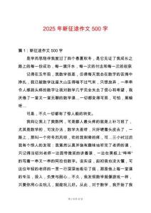 2025年新征途作文500字