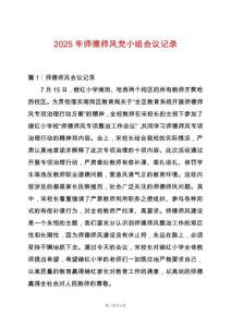 2025年師德師風(fēng)黨小組會(huì)議記錄