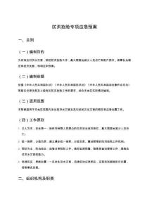 防洪搶險專項應急預案