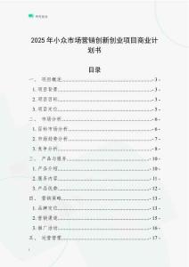2025年小眾市場營銷創(chuàng)新創(chuàng)業(yè)項目商業(yè)計劃書