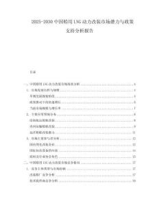2025-2030中國(guó)船用LNG動(dòng)力改裝市場(chǎng)潛力與政策支持分析報(bào)告