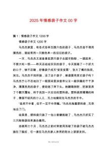 2025年情感袋子作文00字