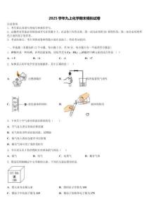 2025學年貴州省桐梓縣化學九上期末復習檢測試題含解析