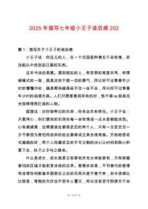 2025年描寫七年級小王子讀后感202