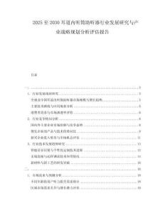 2025至2030耳道內(nèi)聽筒助聽器行業(yè)發(fā)展研究與產(chǎn)業(yè)戰(zhàn)略規(guī)劃分析評估報告