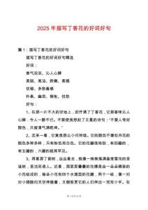 2025年描寫丁香花的好詞好句