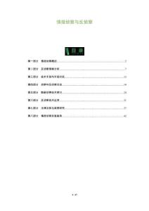 情報偵察與反偵察-洞察及研究