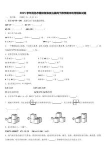 2025學(xué)年百色市隆林各族自治縣四下數(shù)學(xué)期末統(tǒng)考模擬試題含解析