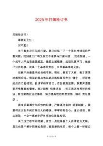 2025年打架檢討書