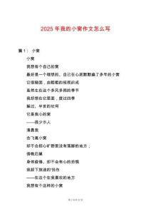 2025年我的小窩作文怎么寫