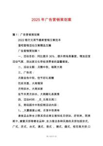 2025年廣告營銷策劃案