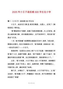 2025年小王子讀后感500字左右小學(xué)