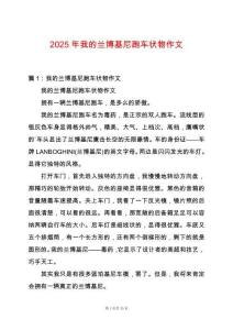 2025年我的蘭博基尼跑車(chē)狀物作文