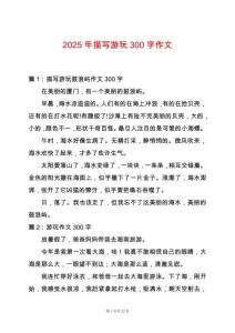 2025年描寫游玩300字作文