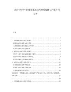 2025-2030中國儲能電池技術(shù)路線選擇與產(chǎn)能布局分析