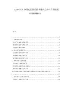 2025-2030中国光伏银浆技术迭代趋势与背面银浆市场机遇报告