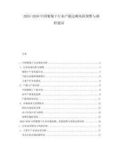 2025-2030中國葡萄干行業產能過剩風險預警與調控建議