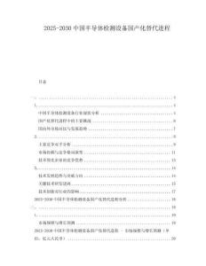 2025-2030中國半導體檢測設備國產化替代進程