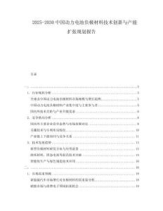 2025-2030中國動力電池負極材料技術創新與產能擴張規劃報告