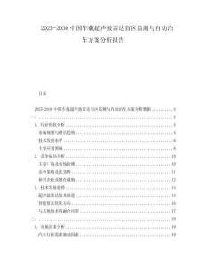 2025-2030中國車載超聲波雷達盲區監測與自動泊車方案分析報告