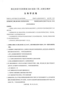 湖北省高中名校联盟2025届高三11月第二次联合测评（圆创联盟）生物试卷+答案