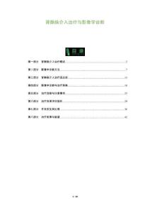 腎靜脈介入治療與影像學(xué)診斷-洞察及研究